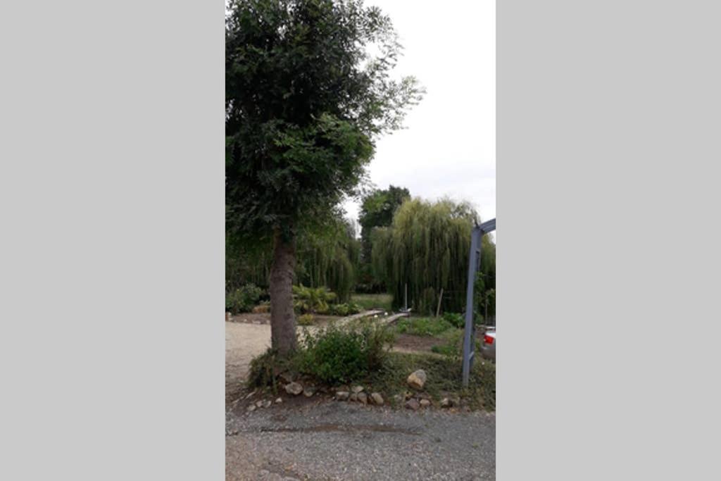 Blaison-Saint-Sulpice Entre Vignes Et Loire 아파트 외부 사진