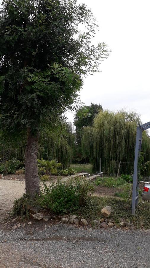Blaison-Saint-Sulpice Entre Vignes Et Loire 아파트 외부 사진